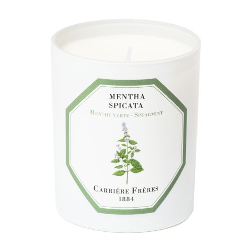 Scented Candle Spearmint - Mentha Spicata 185 g