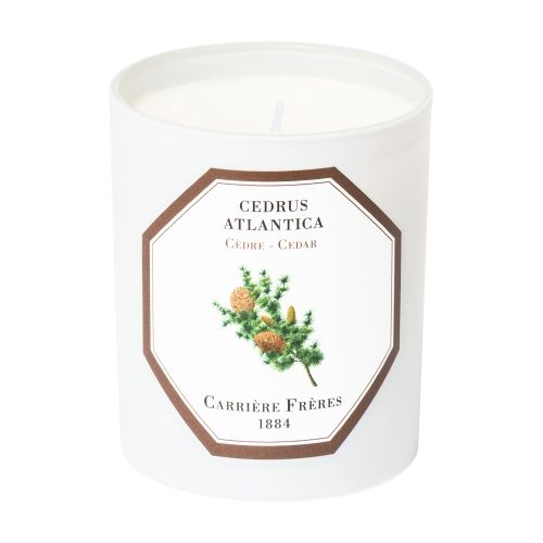 Scented Candle Cedar - Cedrus Atlantica 185 g