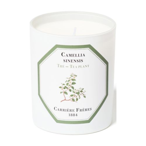 Scented Candle Tea Plant - Camellia Sinensis 185 g